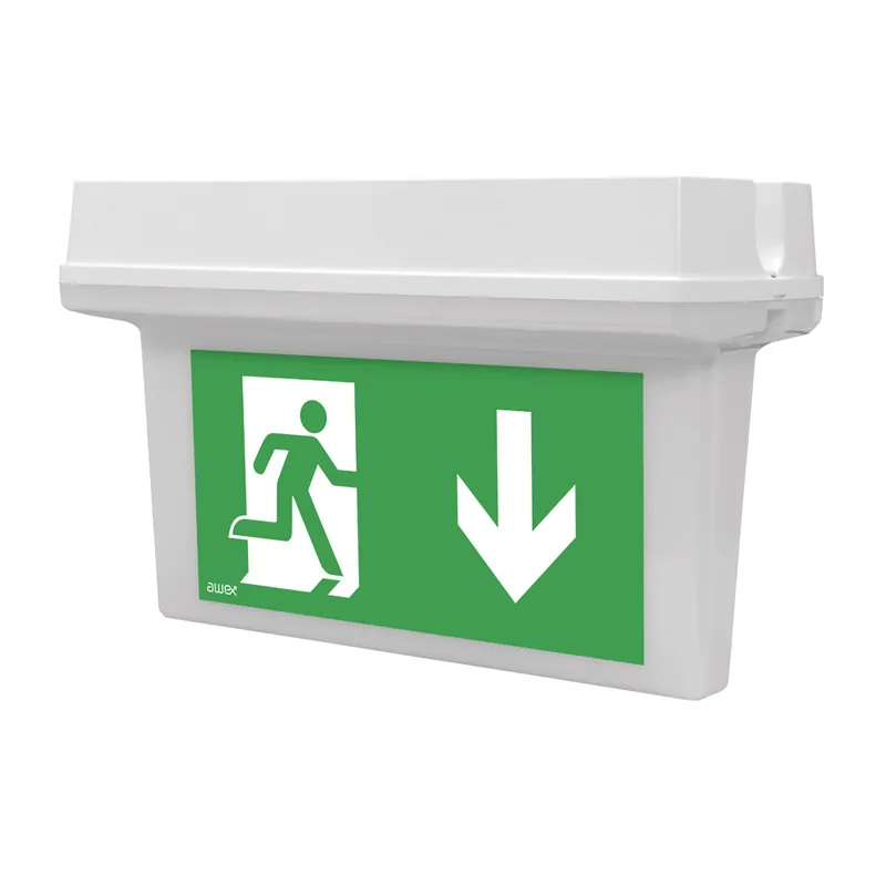 Značkový MODUS HELIOS DS LED 1W LED BASIC IP65 3h , svítící při výpadku,